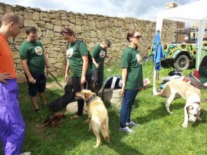 10628202_1521970354681343_2382525229405809010_n