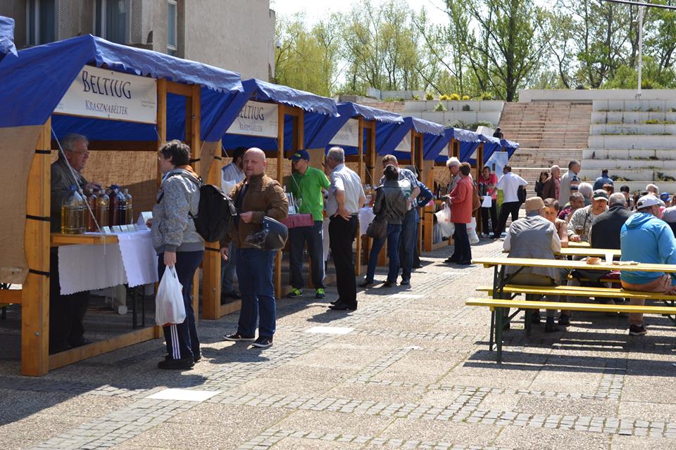 Attention wine lovers! Wine festival in Satu Mare!