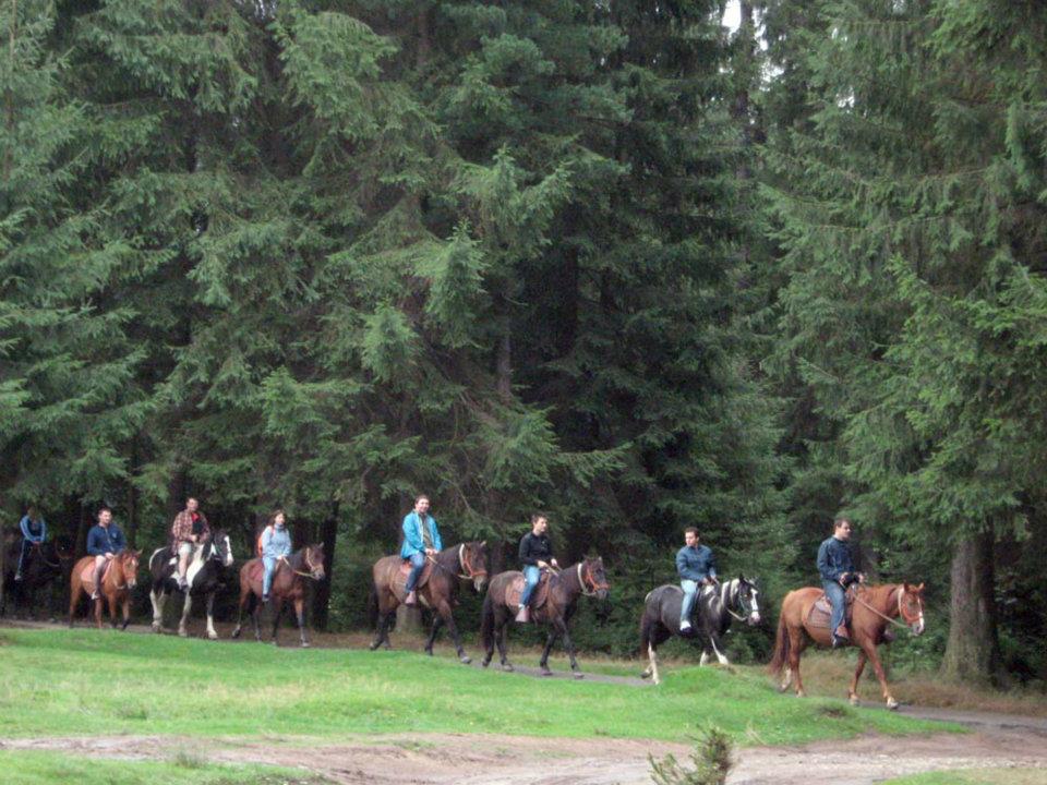 481931_347628765278484_1508565226_n