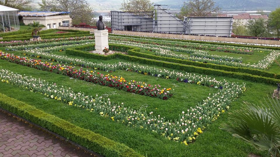 30,000 tulips are waiting for visitors at the Jibou botanical garden