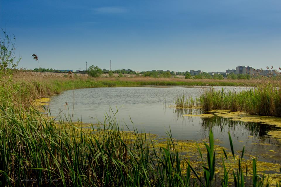 vacaresti2072929489577_n