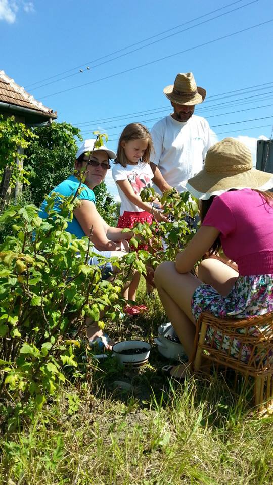 You can now find local farmers in your area thanks to this online&nbsp;platform