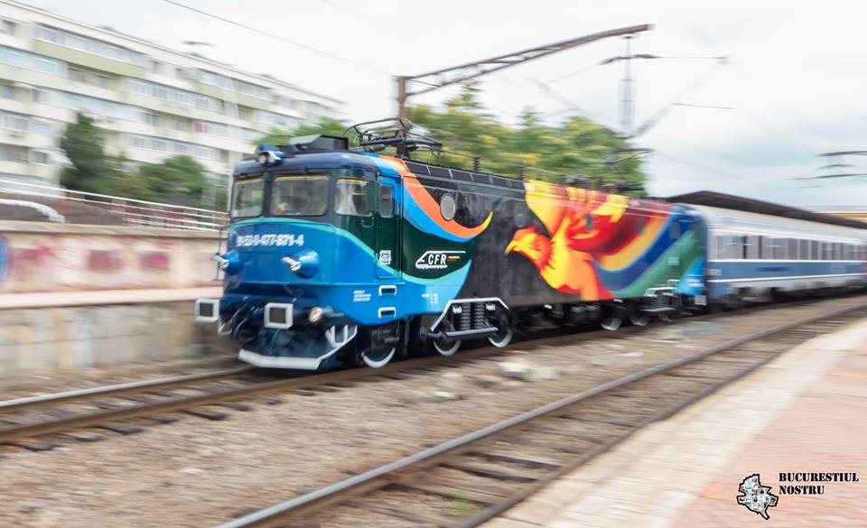 pasarea88338055713721_n