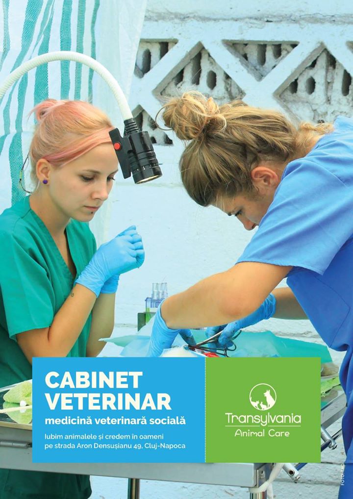 Can’t afford to care for your sick dog? A social vet clinic in Cluj can help you out
