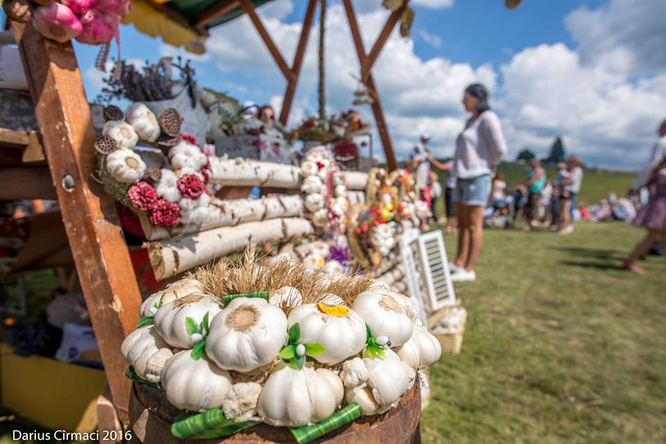 dracula9_86442288253869169_n