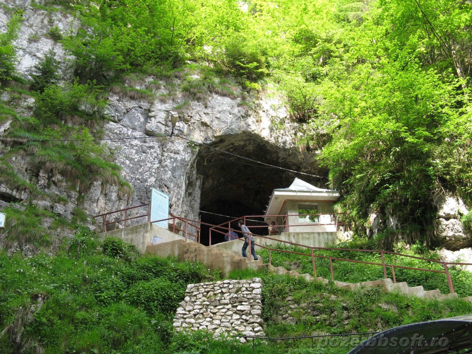 Pestera Dambovicioara