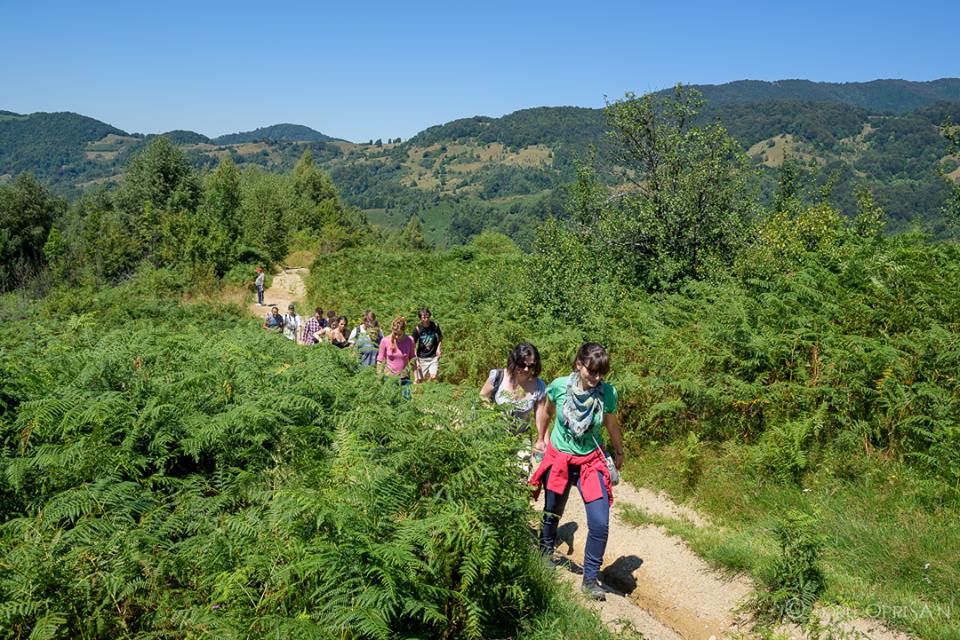 zimbri6393472801499044_n