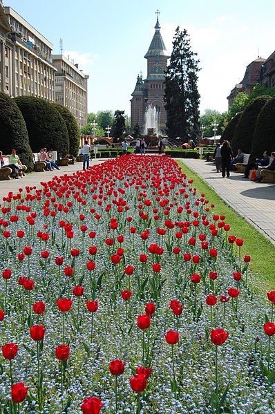 Timisoara will be European Capital of Culture in&nbsp;2021!