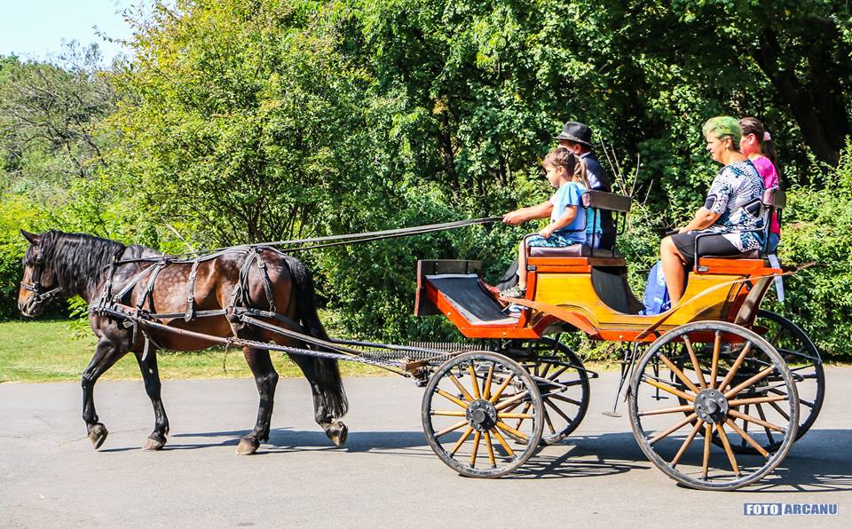 zilelebuc_1564666304833900922_n