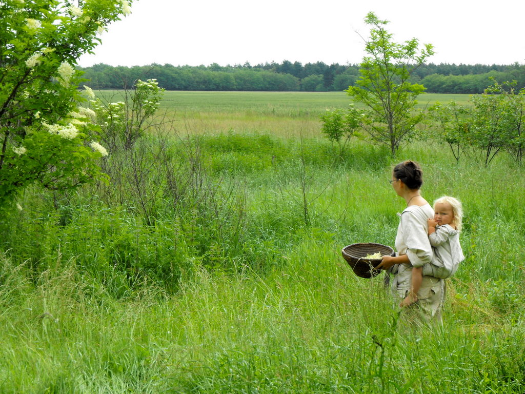 foraging-for-flowers-in-back-garden