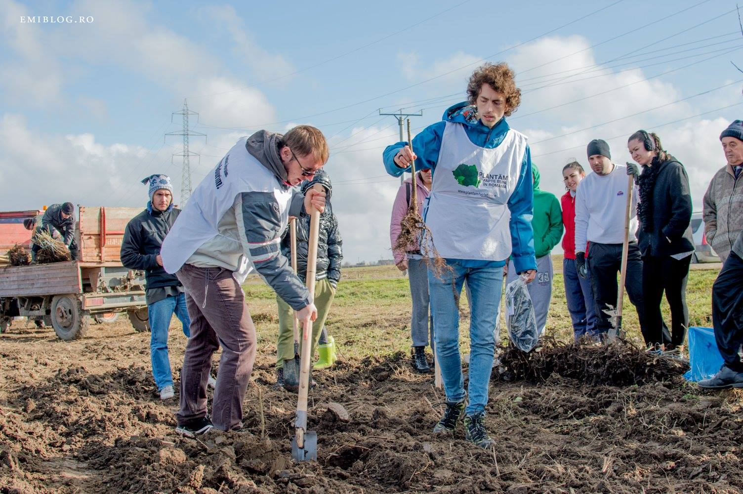 plant4846069_6108364415552644986_o