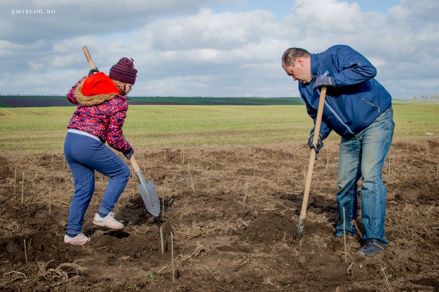 plnt2389828179782_4712426118981321689_o