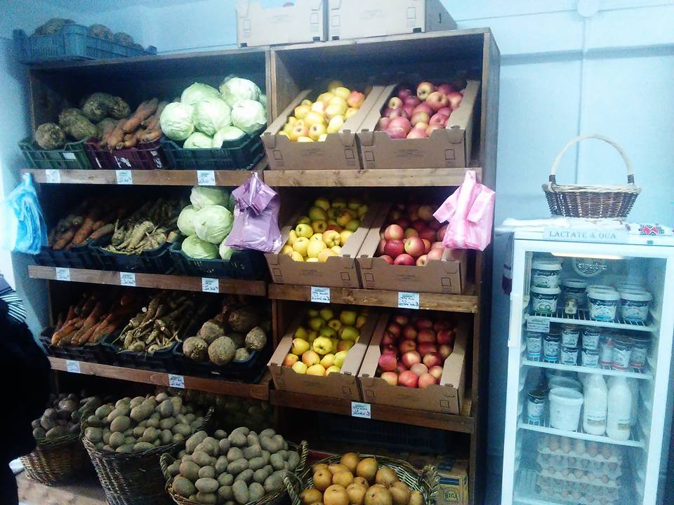 15327348_1185840451498198_2548267122316445308_n