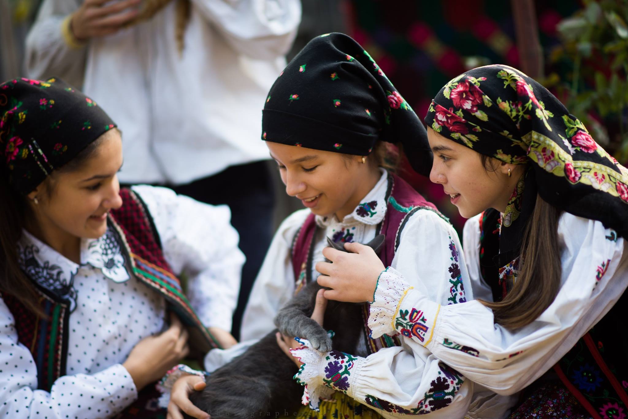 16178915_1257055254386934_3113084613106687411_o