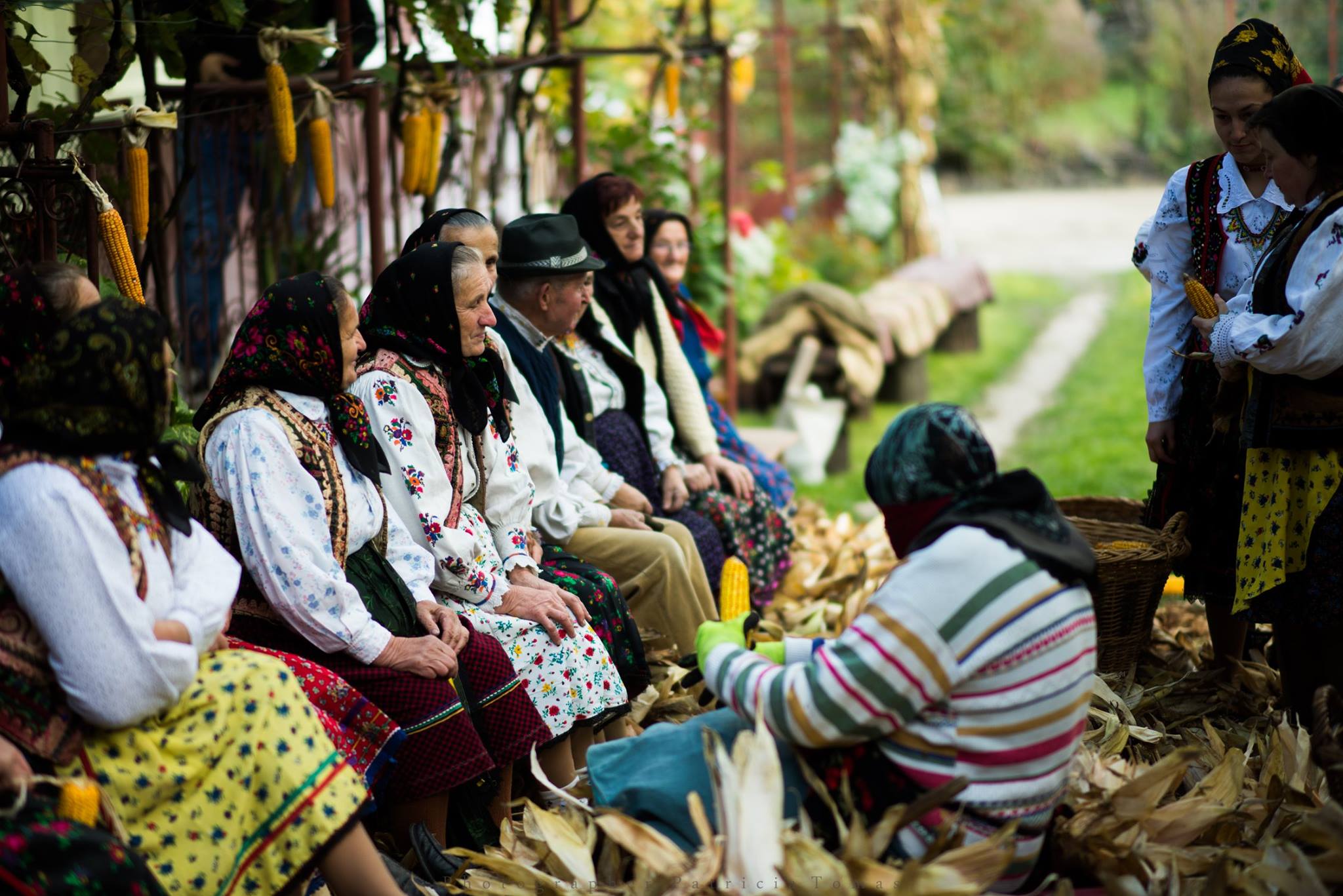 16179704_1257057007720092_3364982821493884132_o