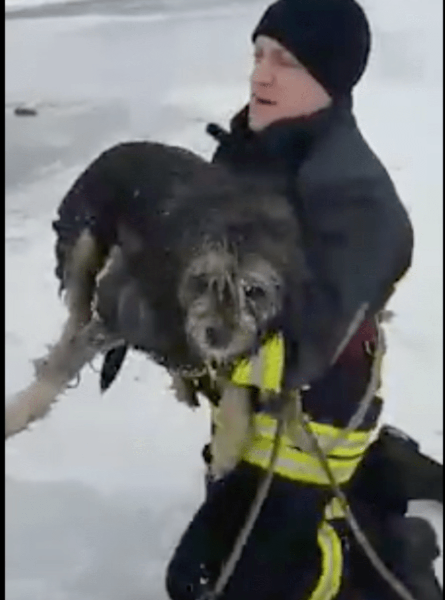 screen-shot-2017-02-04-at-12-28-57