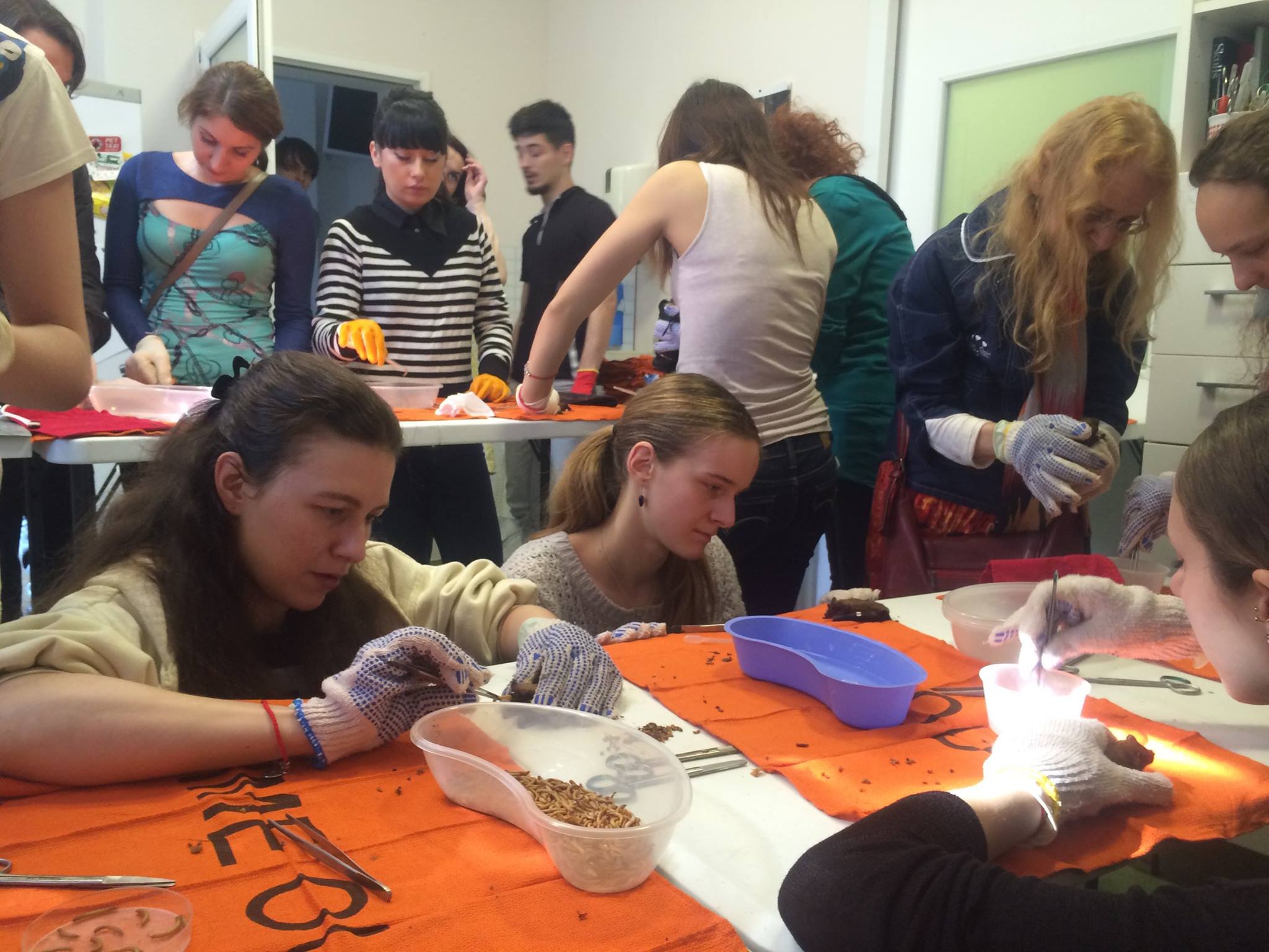 12819330_1030053280394649_6477273393698730700_o