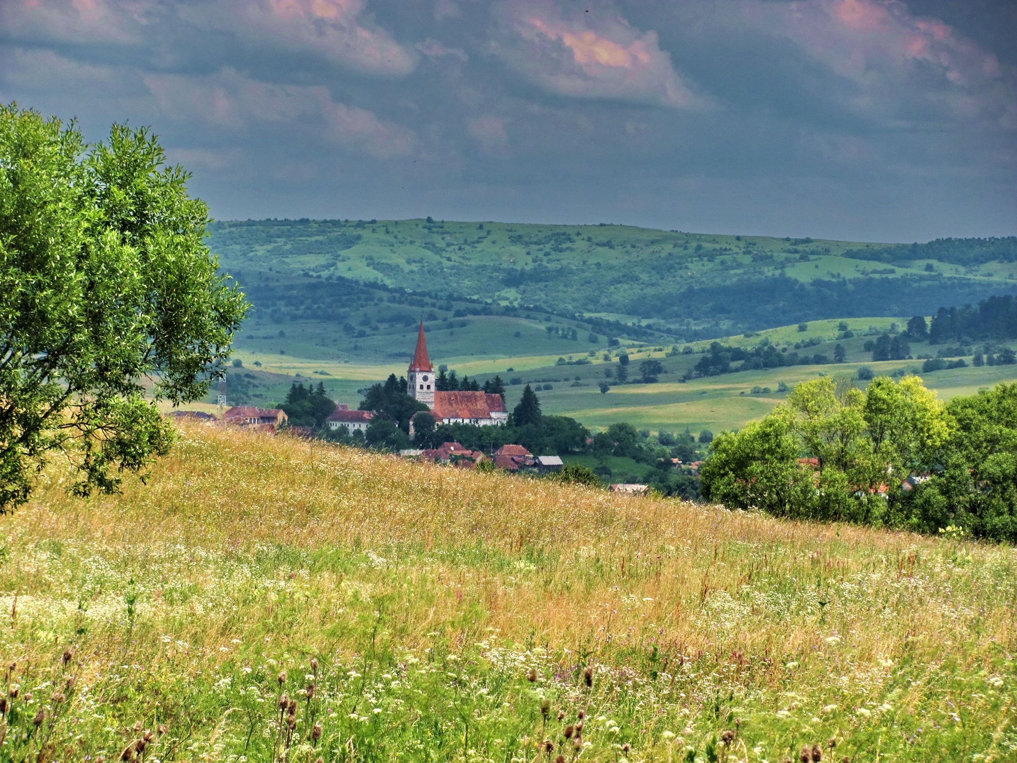 13442501_1078420125514715_1416789466118129005_o