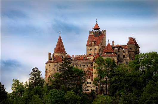 1383585_1423002511244901_597053424_n