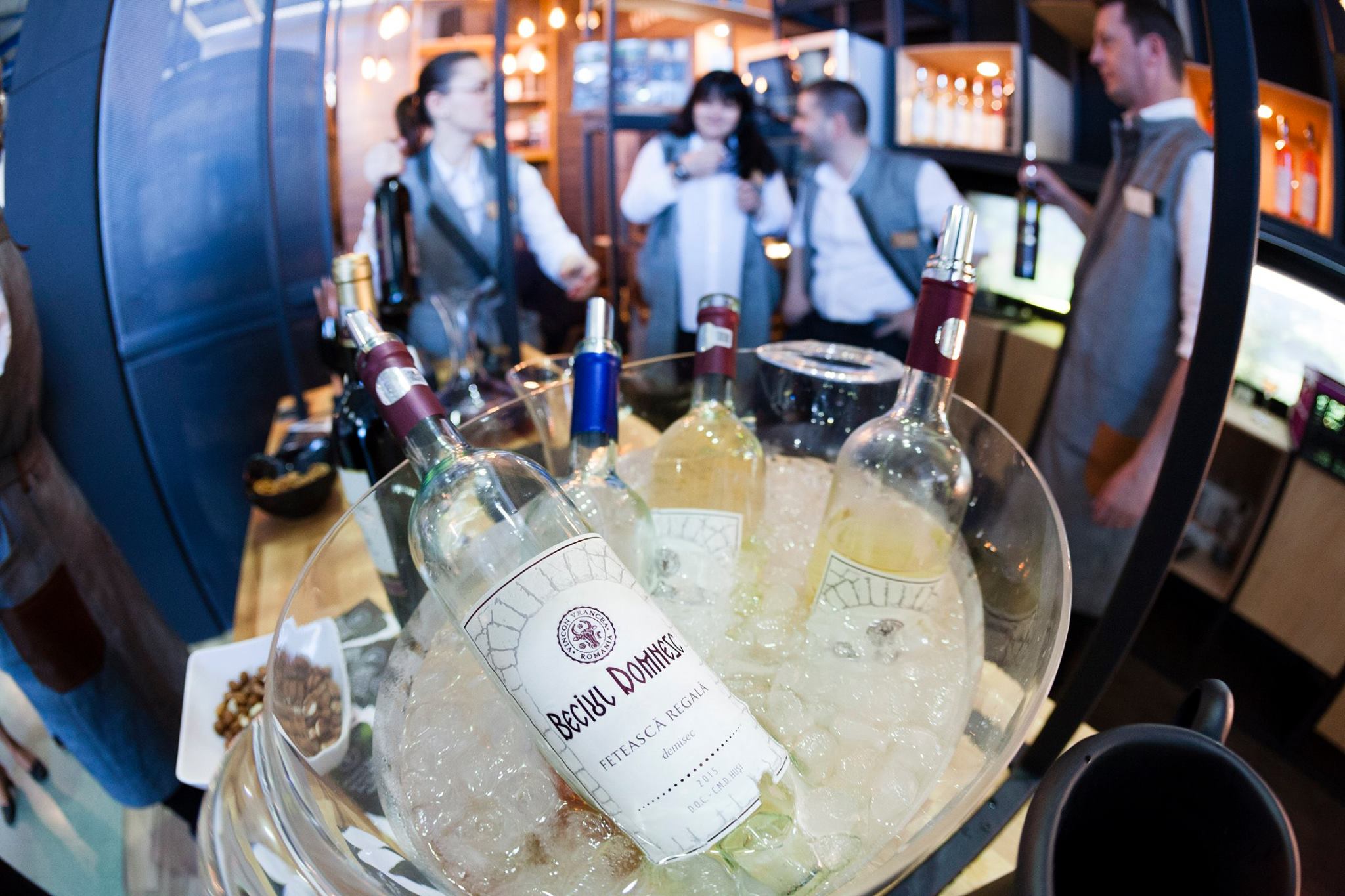 17637157_1473804259360172_8710163284789077700_o