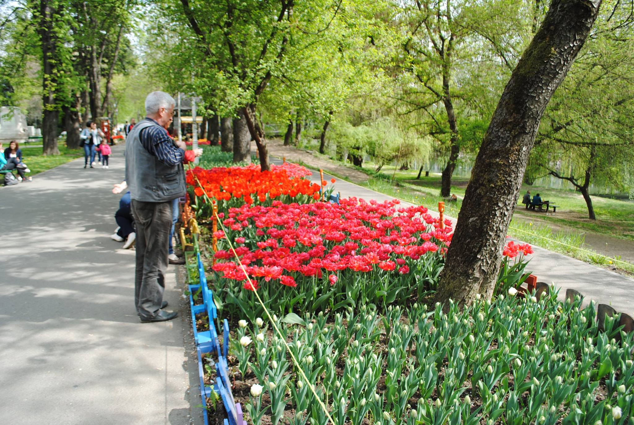 17807298_984733194963337_5758698650446749937_o