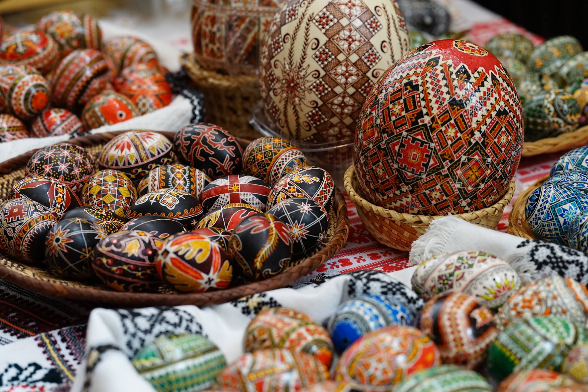 17880041_1283816631697833_1611419505977044299_o